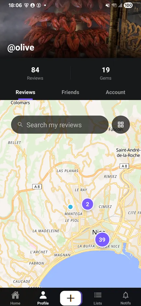 The map of your own reviews, purple pins clustered over Nice.